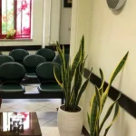 مرکز مشاوره و خدمات روانشناختی پویش دکتر زهرا اسکافی ثابت در رشت