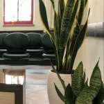 مرکز مشاوره و خدمات روانشناختی پویش دکتر زهرا اسکافی ثابت در رشت