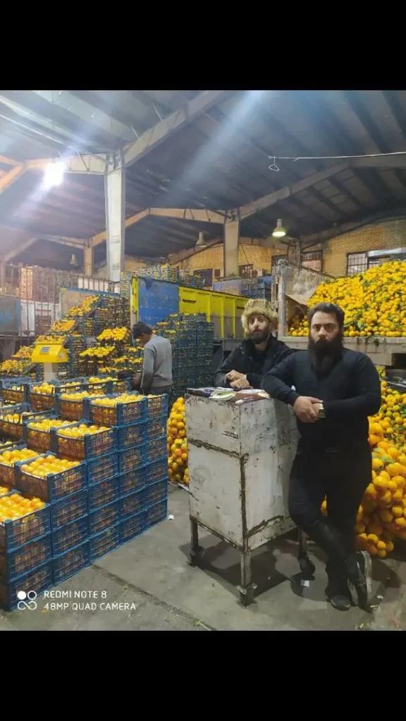 بازرگانی الفت زاده در شیراز
