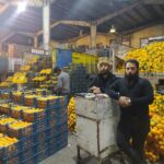 میدان تره بار الفت زاده در شیراز