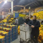 میدان تره بار الفت زاده در شیراز