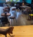 نمایشگاه مبل تک در رودسر