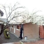 رستوران خوب در تالش