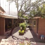 رستوران خوب در تالش