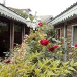 رستوران خوب در تالش