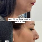 دکتر سیده فاطمه علوی لنگرودی در تهران