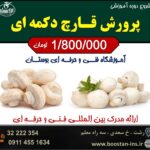 آموزشگاه فنی و حرفه ای بوستان رشت