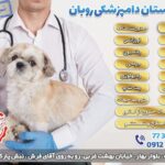 بیمارستان دامپزشکی روبان در تهران