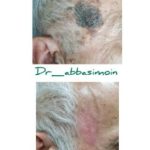 دکتر سعید عباسی معین در بندر انزلی