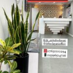 دکتر آزیتا هدایتی دندانپزشک در بندرعباس