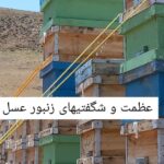 زنبورداری تورج در نورآباد لرستان