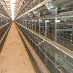 تجهیزات مرغداری روجین صنعت در رشت