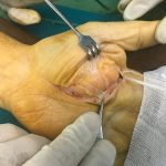 دکتر رحیم مطلوبی در تهران