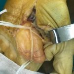 دکتر رحیم مطلوبی در تهران