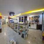 بیمارستان دامپزشکی روبان در تهران