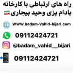 کارخانه بادام زمینی وحید بیجاری در آستانه اشرفیه