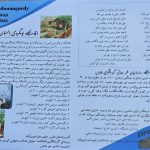 اقامتگاه بومگردی السون در آتشکده فیروزآباد فارس