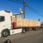 شرکت باکس و پالت چوبی سادات در تالش