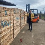 شرکت باکس و پالت چوبی سادات در تالش