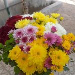 نمایشگاه گل و گیاه و سفال گیله مرد