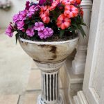 نمایشگاه گل و گیاه و سفال گیله مرد