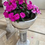 نمایشگاه گل و گیاه و سفال گیله مرد