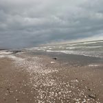 مجتمع ساحلی مهر کادوس در مازندران