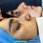 دکتر سید حمید حسینی نائینی در تهران