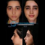 دکتر سید حمید حسینی نائینی در تهران