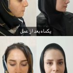 دکتر سید حمید حسینی نائینی در تهران