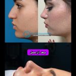 دکتر سید حمید حسینی نائینی در تهران