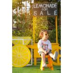 استودیو پایا در قزوین