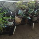 بیمه آسیا نمایندگی حامد کریمی در شیراز