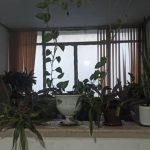 بیمه آسیا نمایندگی حامد کریمی در شیراز