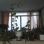 بیمه آسیا نمایندگی حامد کریمی در شیراز