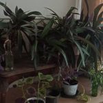 بیمه آسیا نمایندگی حامد کریمی در شیراز