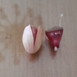 کلینیک تخصصی شنوایی شناسی و سمعک ثمین در خمینی شهر