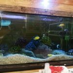 رستوران کاسپین در بندرترکمن