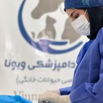 کلینیک دامپزشکی ویونا در قم
