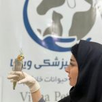کلینیک دامپزشکی ویونا در قم