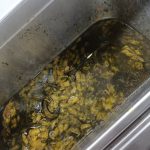 رستوران گیل دختر در فومن