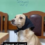 بهترین آموزشگاه خیاطی جهان مد در بندر انزلی