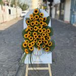 گلکده مینیاتور در لنگرود