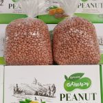 کارخانه بادام زمینی وحید بیجاری در آستانه اشرفیه