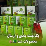 کارخانه بادام زمینی وحید بیجاری در آستانه اشرفیه