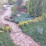 طراحی و فضای سبز طبیعت در اصفهان