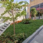 طراحی و فضای سبز طبیعت در اصفهان