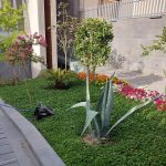 طراحی و فضای سبز طبیعت در اصفهان