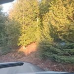 هتل آپارتمان بام شهر در گلستان