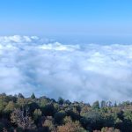 هتل آپارتمان بام شهر در گلستان